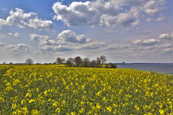 Brodtener Steilufer an der Ostsee