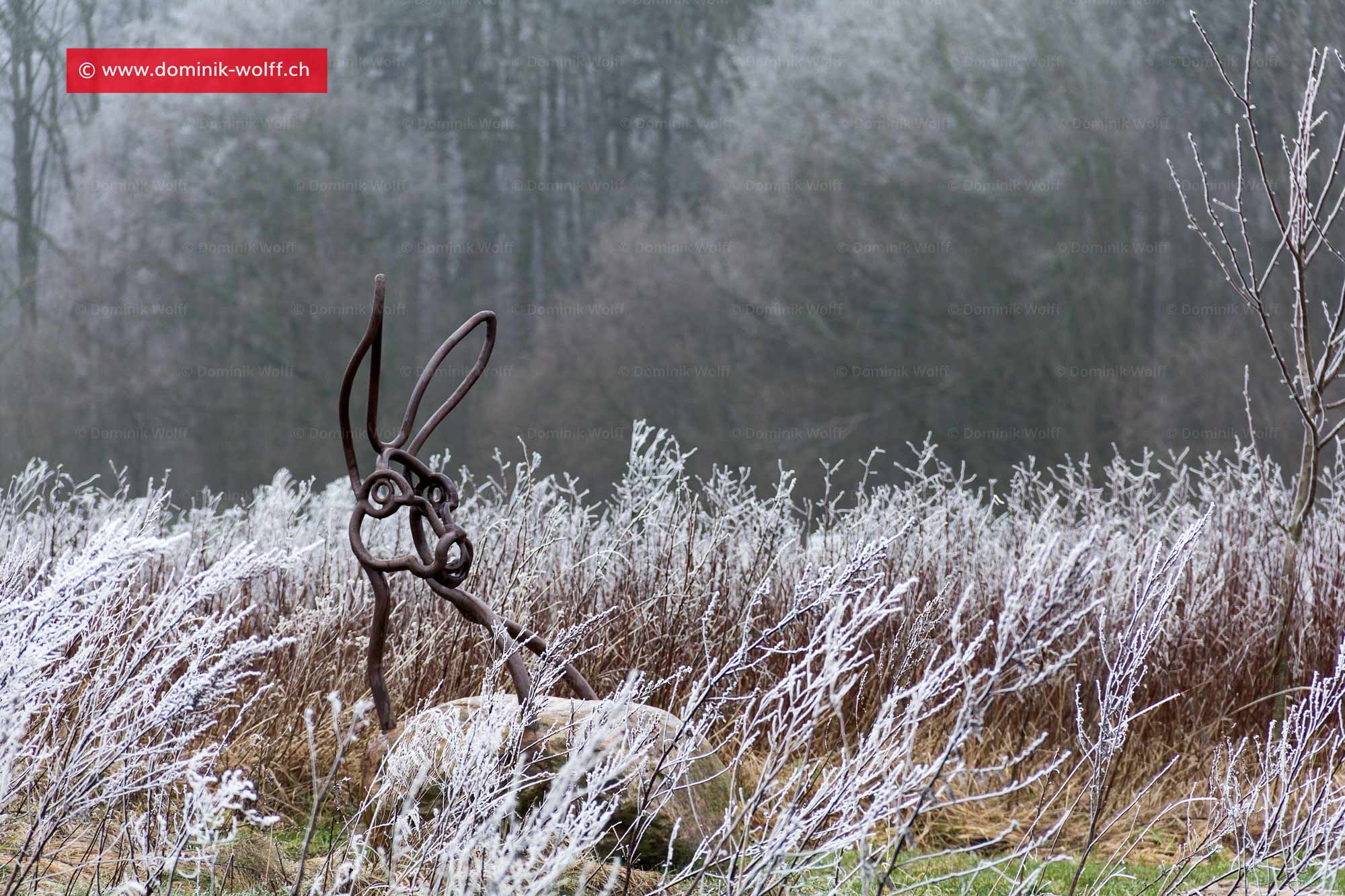 Bild + Foto - Naturkunstprojekt Travemünder Sessellandschaft