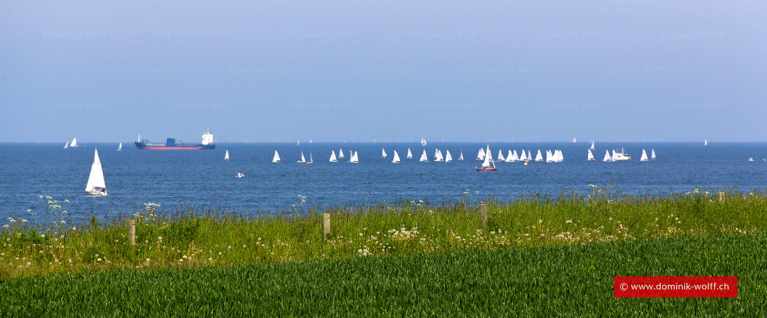 Bild + Foto - Travemünder Woche in Schleswig-Holstein