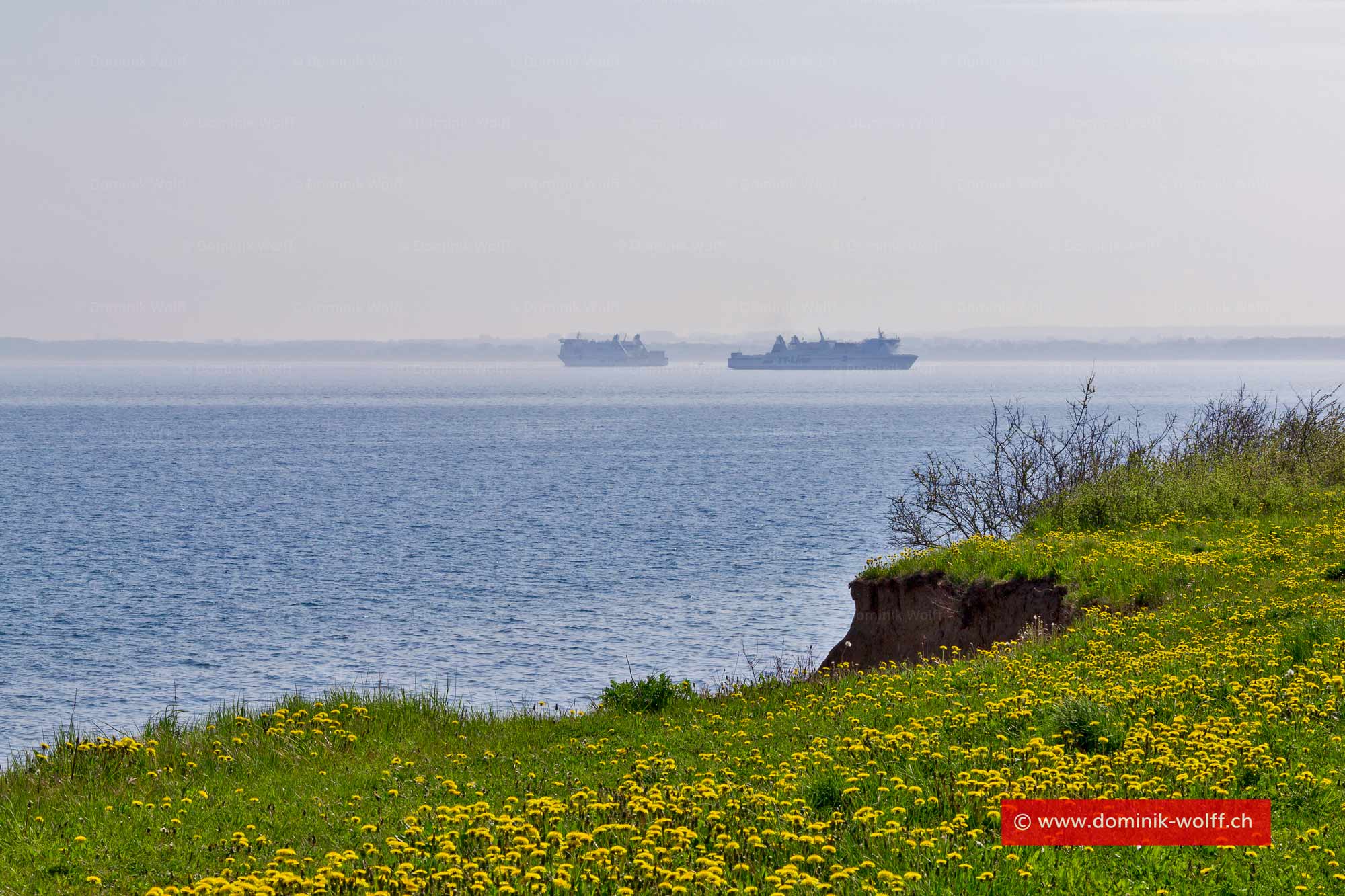 Bild + Foto - TT-Line am Hafen von Travemünde