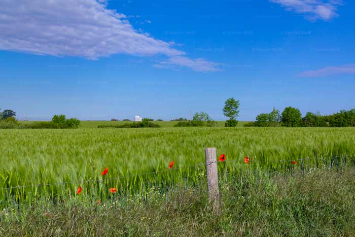 Auf dem Weg zum Timmendorfer Strand