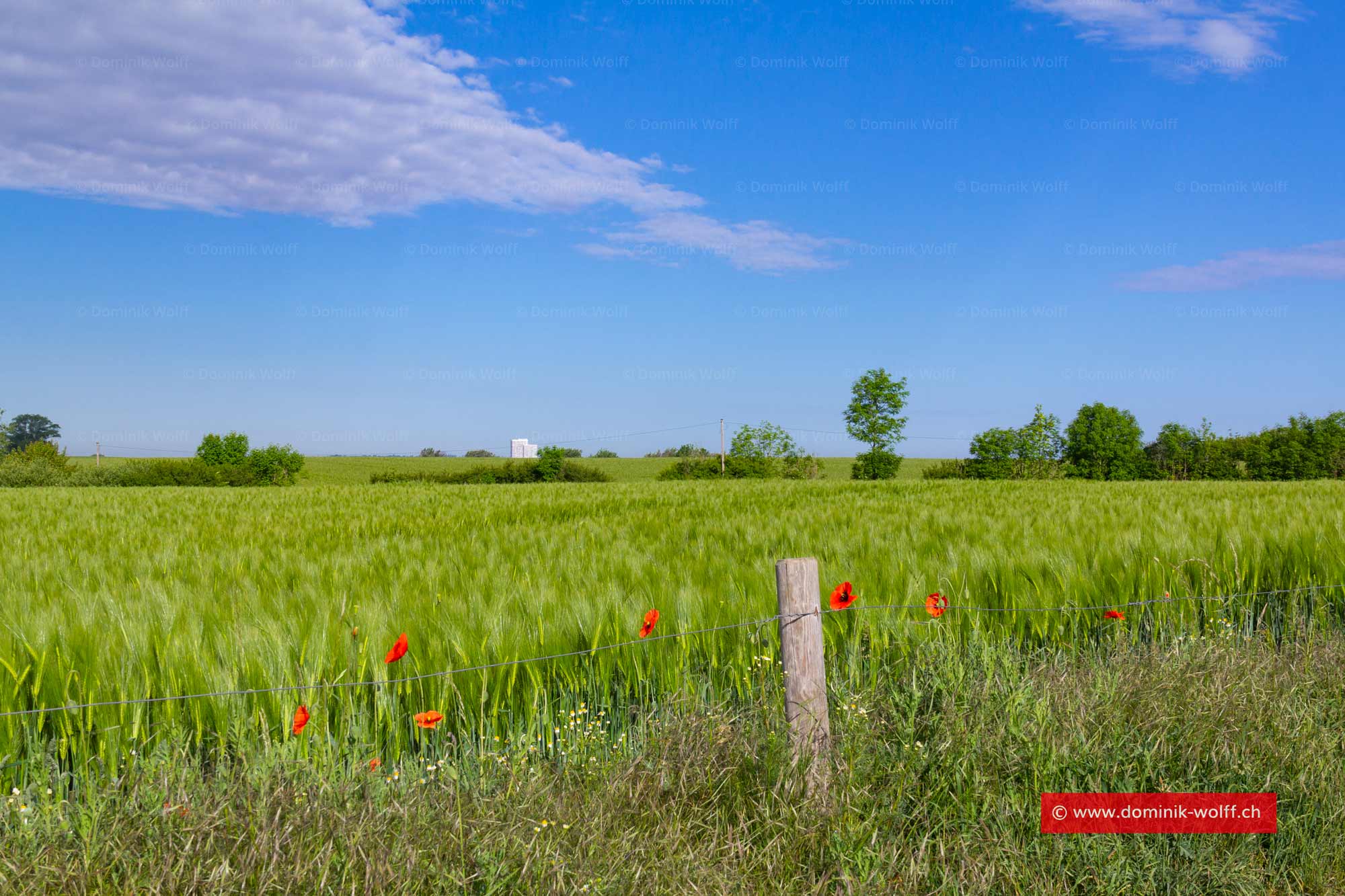 Bild + Foto - Wanderweg in Richtung Niendorf Ostsee