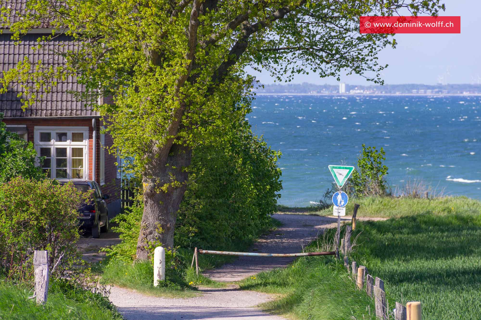 Bild + Foto - Wieskoppel in Lübeck Brodten