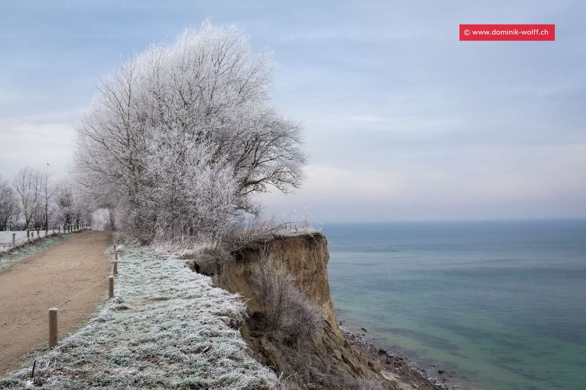 Einsamer Winter am Brodtener Steilufer