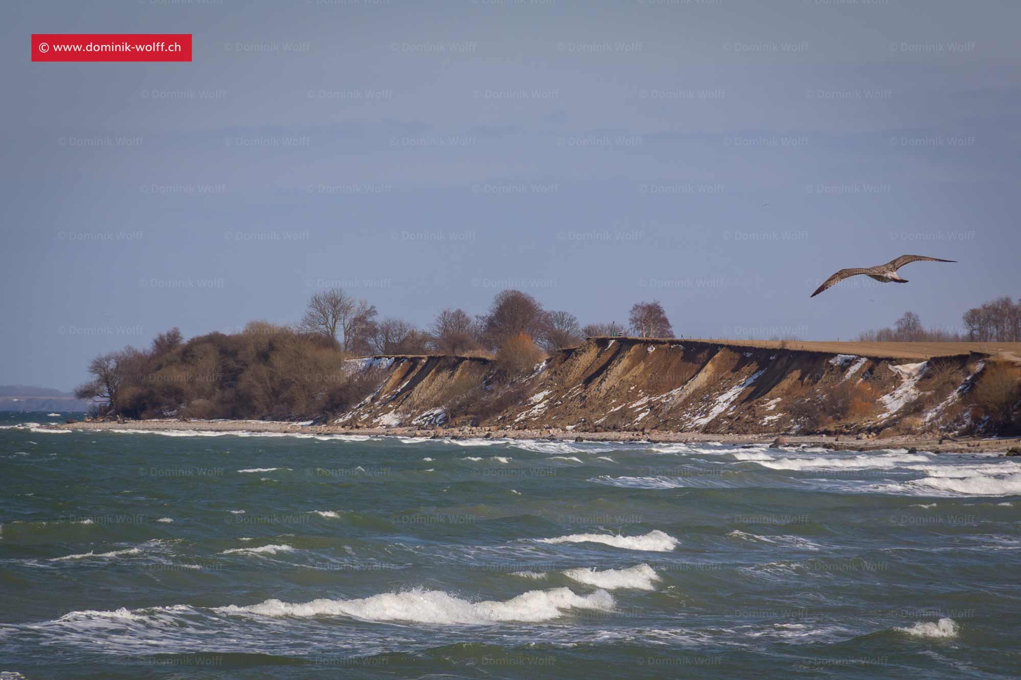 Bild + Foto - Brodtener Steilufer bei Niendorf/Ostsee